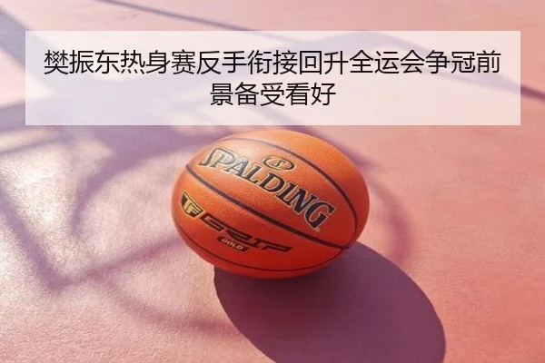 樊振东热身赛反手衔接回升全运会争冠前景备受看好